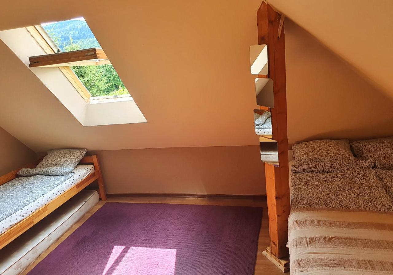 Akacjowa 7 Apartment Stronie Śląskie Exterior foto