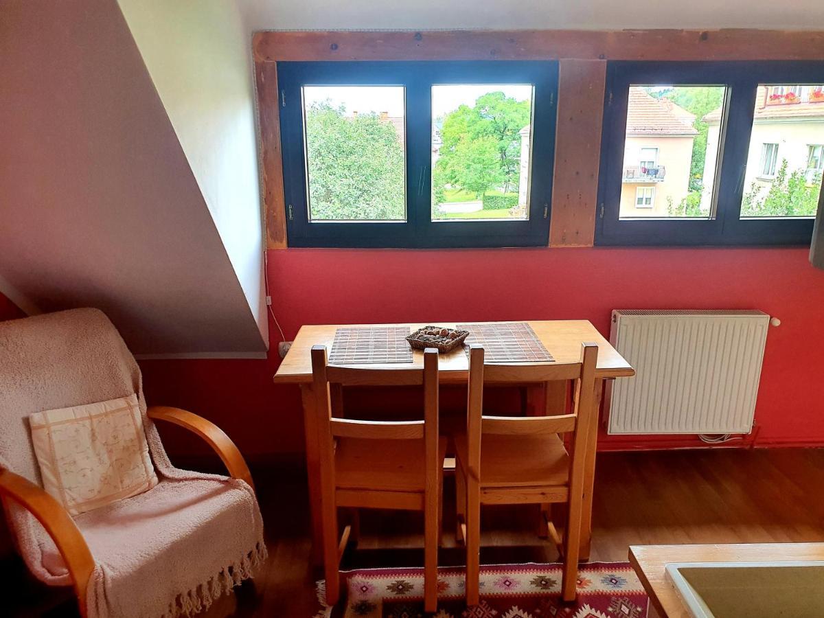 Akacjowa 7 Apartment Stronie Śląskie Exterior foto